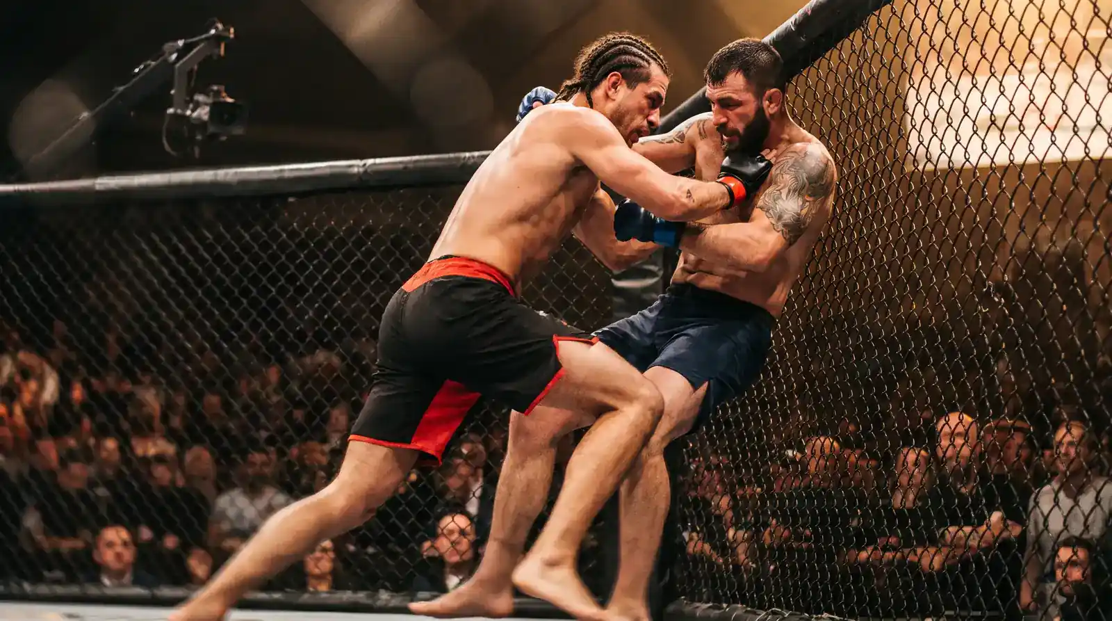Bellator MMA клетка по време на двубой